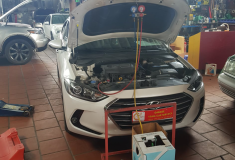  Tất tần tật về 